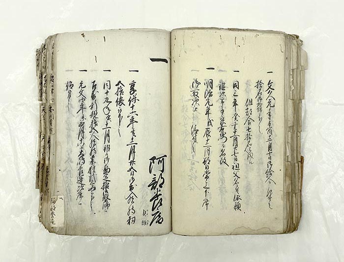 عائلة آبي يوان في فترة إيدو